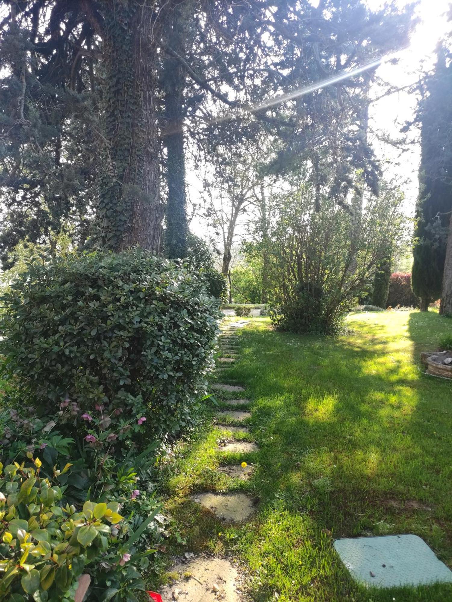 La Pergola Bed and Breakfast Becedasco Eksteriør billede
